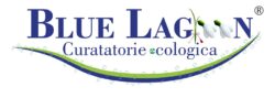 Cea mai buna curatatorie de haine si covoare - Blue Lagoon Clean